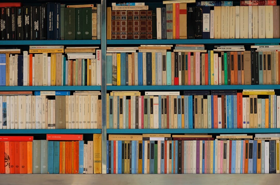 bookstore shelves with new releases